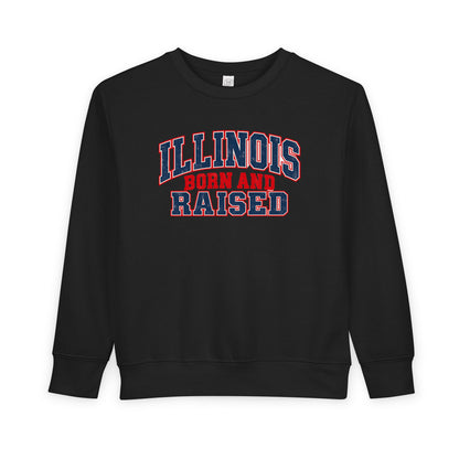 Illinois Born and Raised Vintage Collegiate Unisex Toddler Sweatshirt
