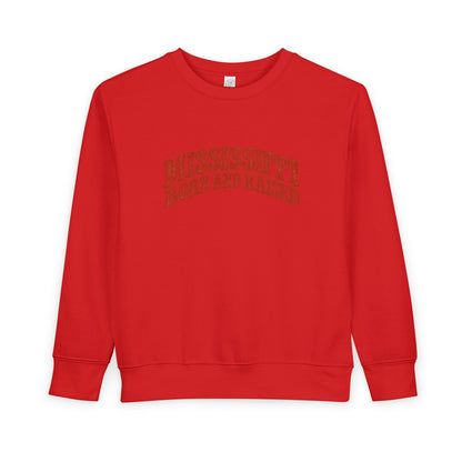 Mississippi Born and Raised Retro 1970s Unisex Toddler Sweatshirt