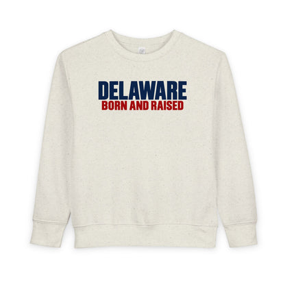 Delaware Born and Raised Minimal Modern Unisex Toddler Sweatshirt