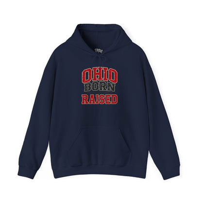 Ohio Born And Raised Unisex Hoodie State Name Graphic