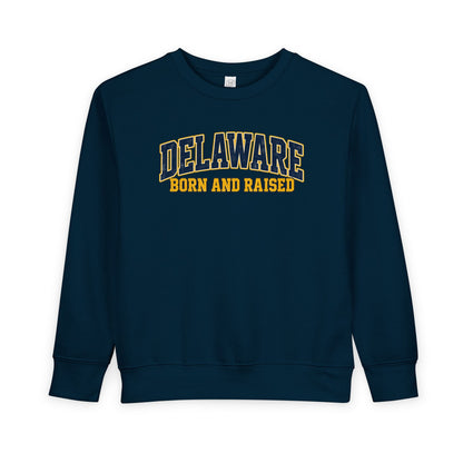 Delaware Born and Raised Old-School Athletic Unisex Toddler Sweatshirt