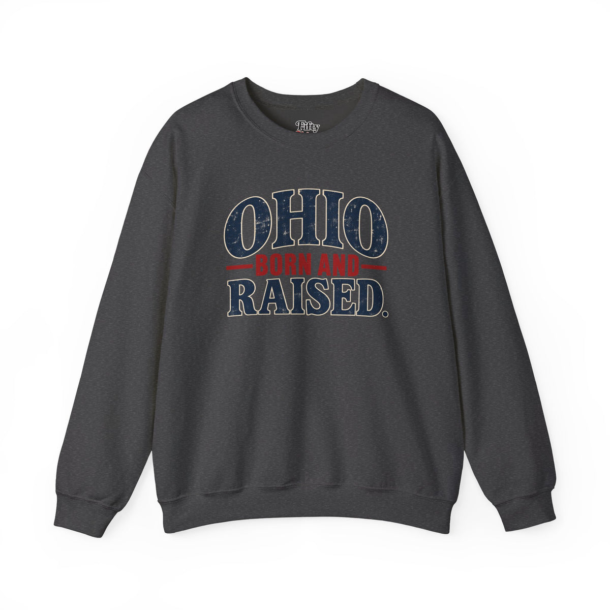 Ohio Born and Raised Vintage Souvenir Unisex Sweatshirt Graphic