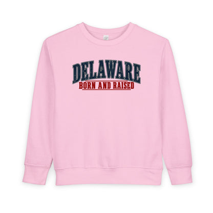 Delaware Born and Raised Classic Americana Unisex Toddler Sweatshirt