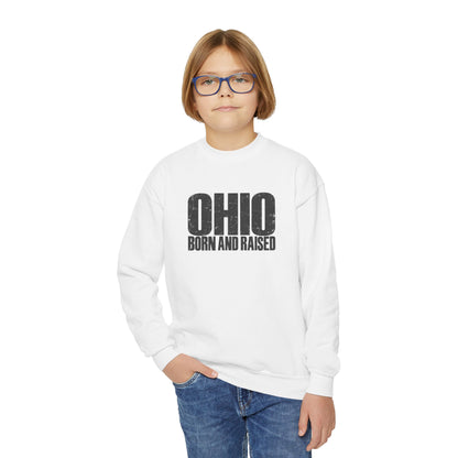 Ohio Born and Raised Modern Midwest Streetwear Unisex Youth Crewneck Sweatshirt Graphic