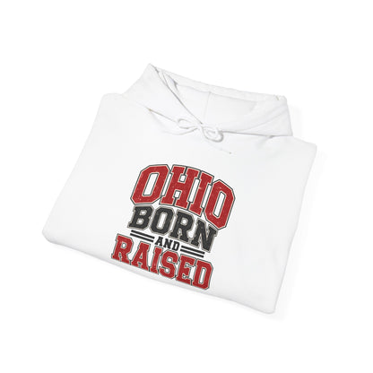Ohio Born And Raised Unisex Hoodie State Name Graphic
