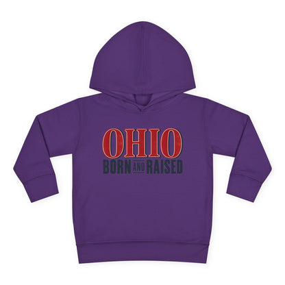 Ohio Born and Raised Premium Heritage Unisex Toddler Pullover Fleece Hoodie