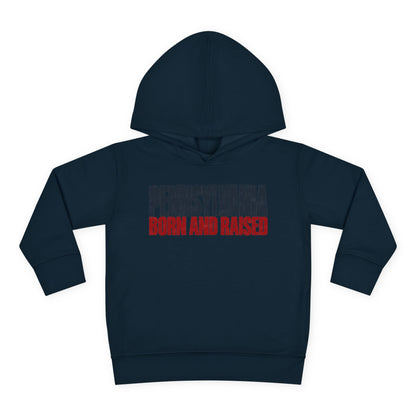 Pennsylvania Born and Raised Northeast Streetwear Unisex Toddler Pullover Fleece Hoodie