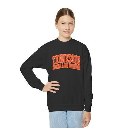Tennessee Born and Raised Southern Collegiate Unisex Youth Crewneck Sweatshirt Graphic
