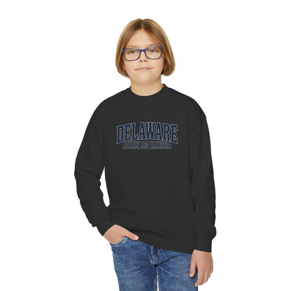 Delaware Born and Raised Luxury Vintage Unisex Youth Crewneck Sweatshirt Graphic