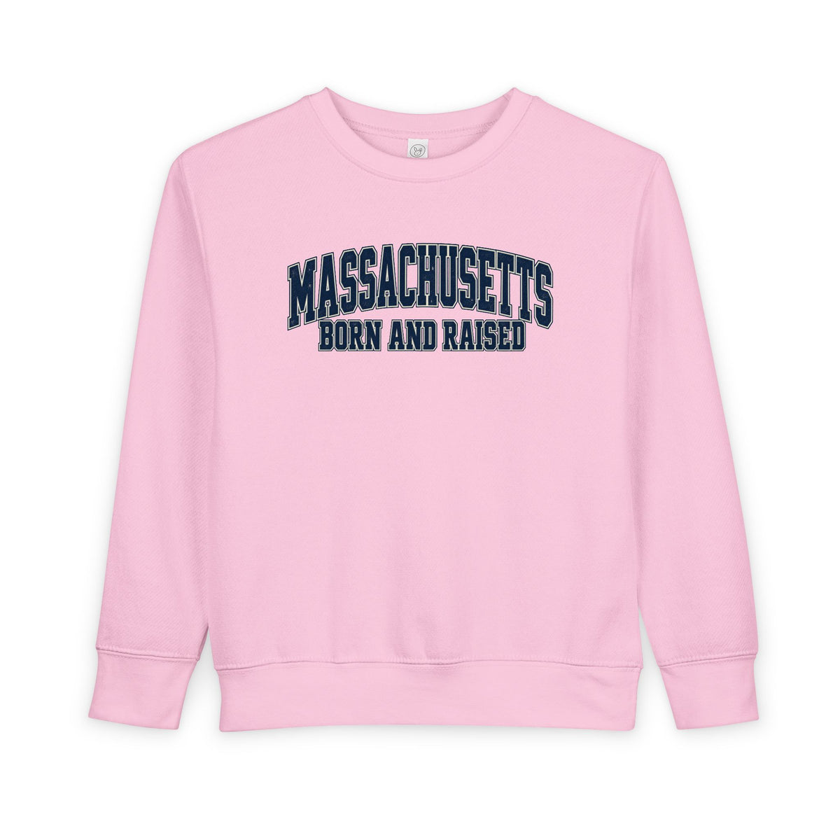 Massachusetts Born and Raised Vintage Collegiate Unisex Toddler Sweatshirt