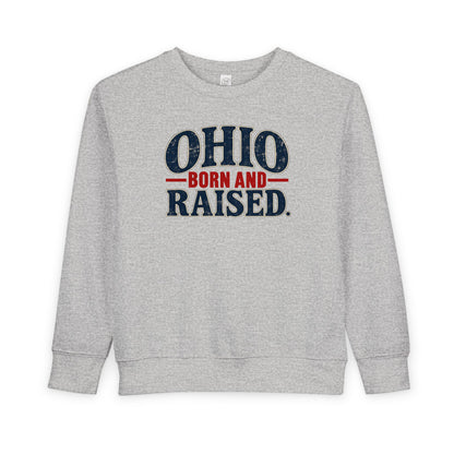 Ohio Born and Raised Vintage Souvenir Unisex Toddler Sweatshirt
