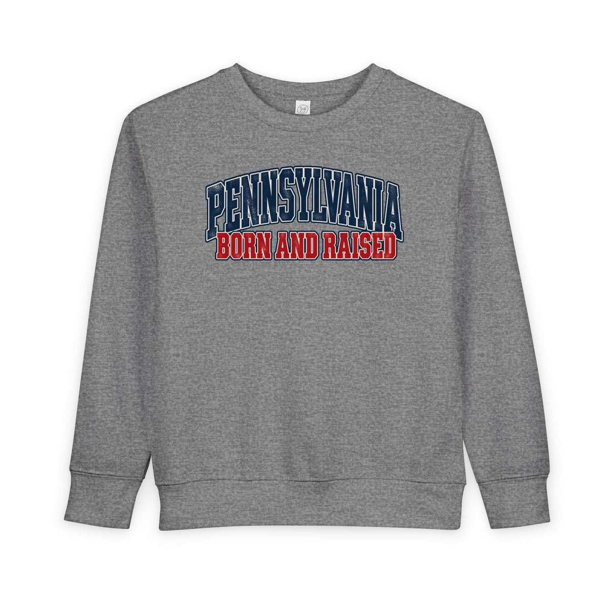 Pennsylvania Born and Raised Vintage Collegiate Unisex Toddler Sweatshirt