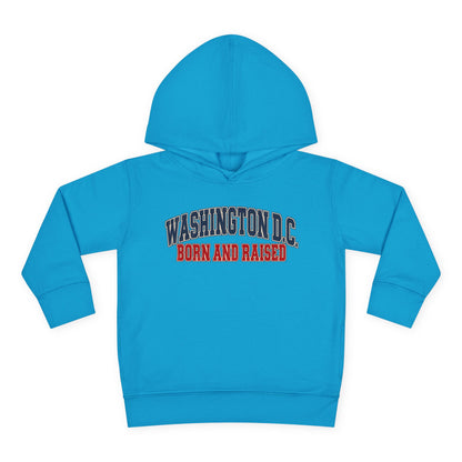 Washington DC Born and Raised Classic Collegiate Unisex Toddler Pullover Fleece Hoodie