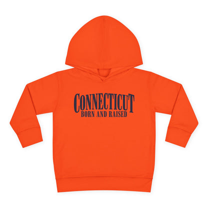 Connecticut Born and Raised Luxury Heritage Unisex Toddler Pullover Fleece Hoodie