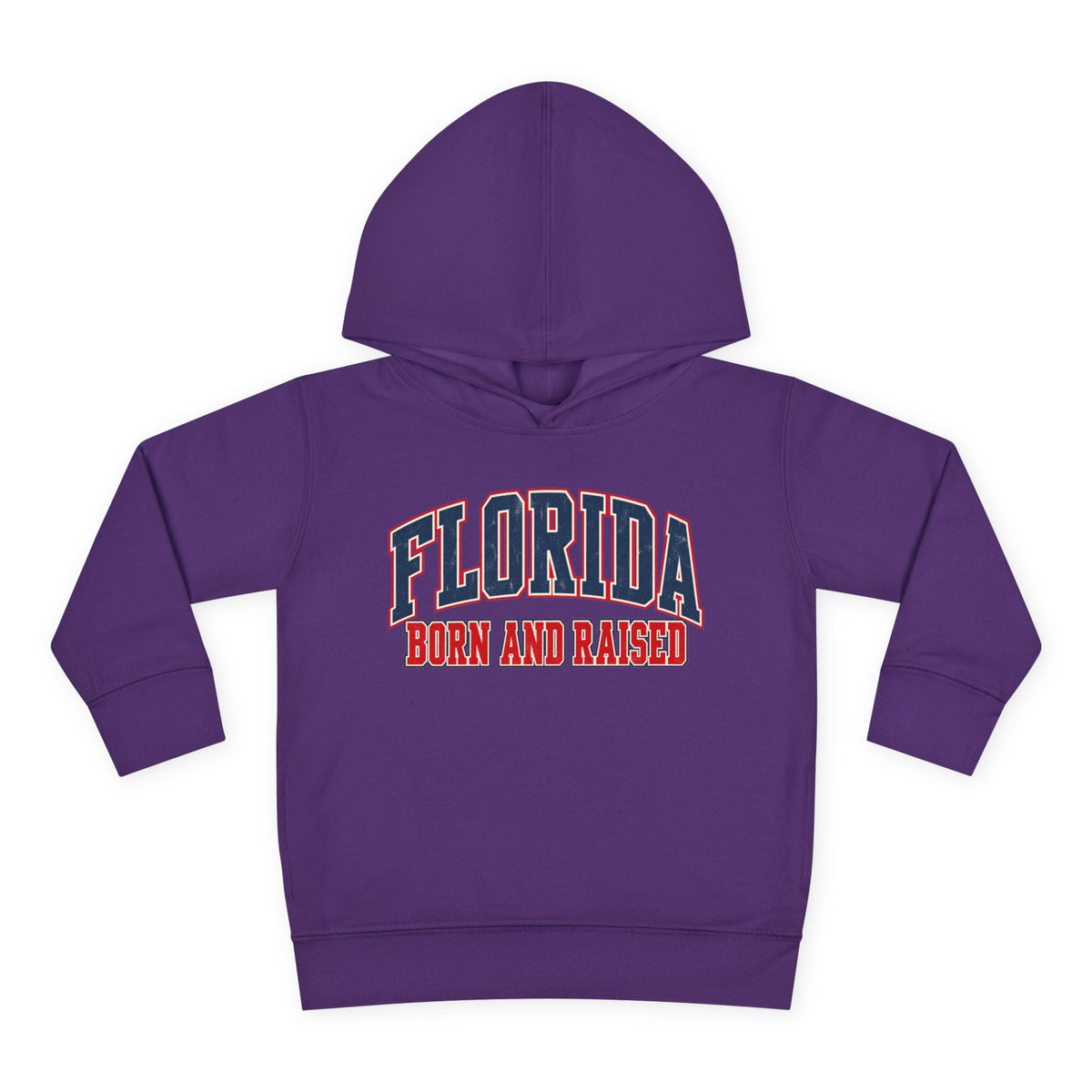 Florida Born and Raised Vintage Collegiate Unisex Toddler Pullover Fleece Hoodie