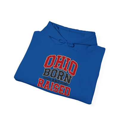 Ohio Born And Raised Unisex Hoodie State Name Graphic
