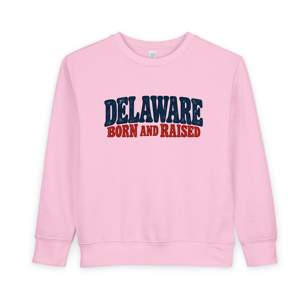 Delaware Born and Raised Retro 1970s Unisex Toddler Sweatshirt