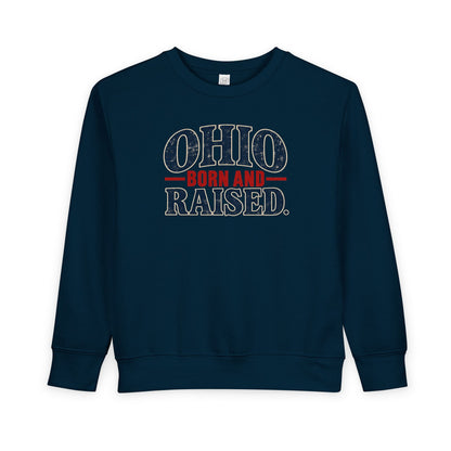 Ohio Born and Raised Vintage Souvenir Unisex Toddler Sweatshirt