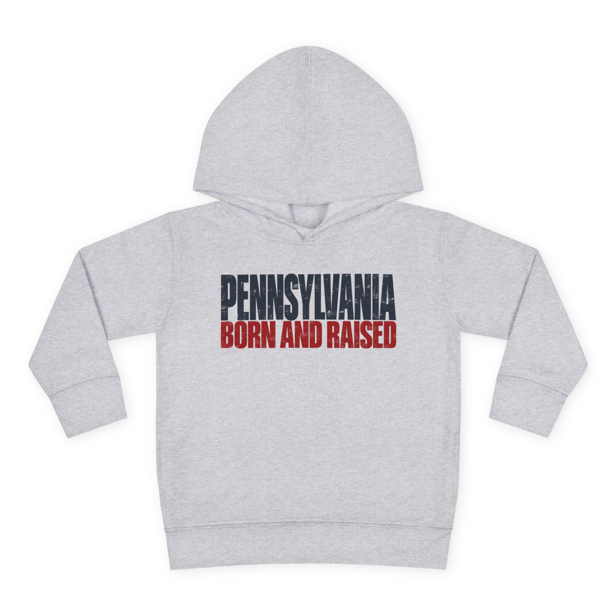 Pennsylvania Born and Raised Northeast Streetwear Unisex Toddler Pullover Fleece Hoodie