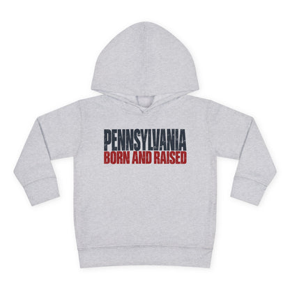 Pennsylvania Born and Raised Northeast Streetwear Unisex Toddler Pullover Fleece Hoodie