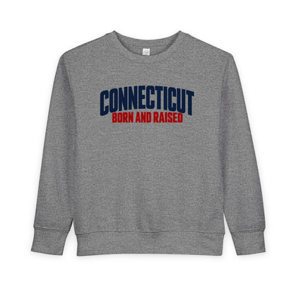 Connecticut Born and Raised Modern Northeast Streetwear Unisex Toddler Sweatshirt