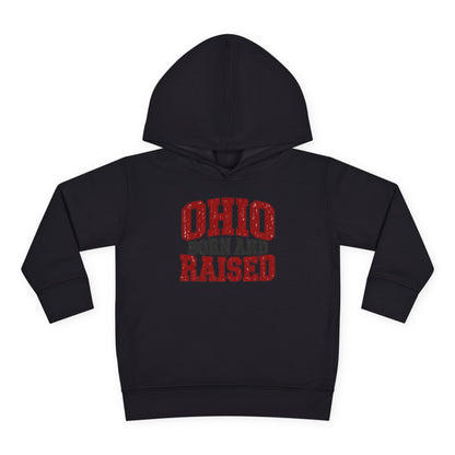Ohio Born and Raised Midwest Heritage Unisex Toddler Pullover Fleece Hoodie