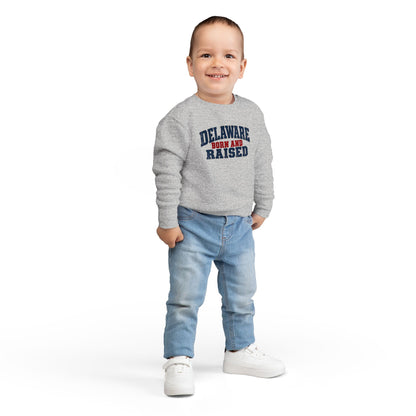 Delaware Born and Raised Rustic Heritage Unisex Toddler Sweatshirt