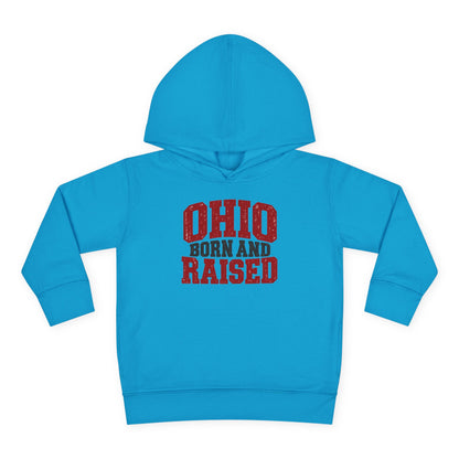 Ohio Born and Raised Midwest Heritage Unisex Toddler Pullover Fleece Hoodie