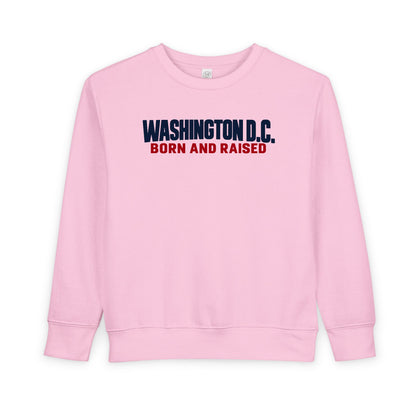 Washington DC Born and Raised Minimal Modern Unisex Toddler Sweatshirt