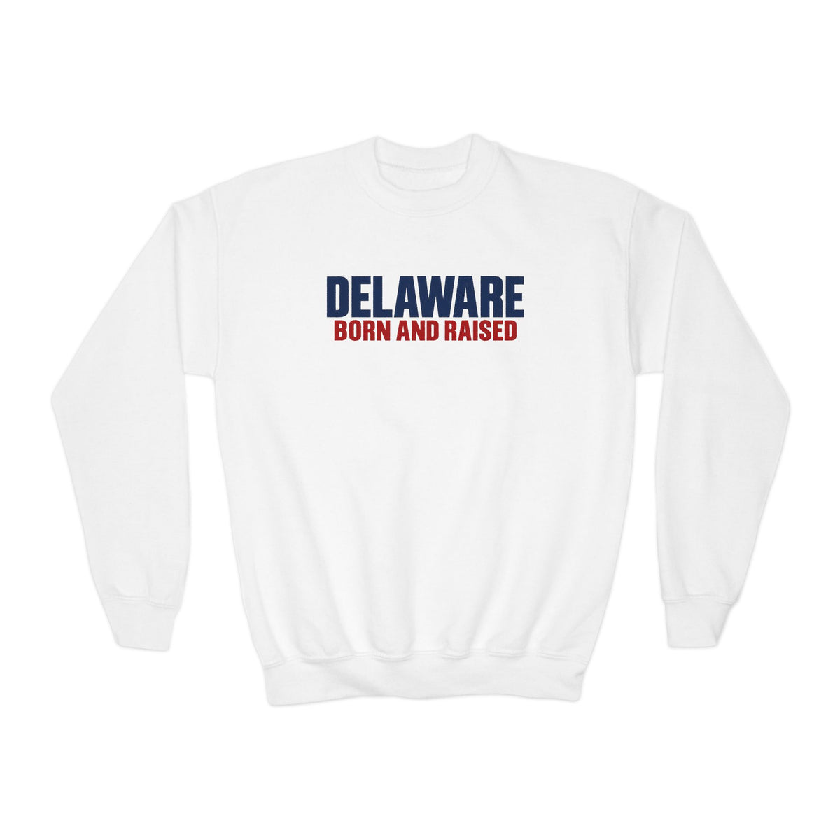 Delaware Born and Raised Minimal Modern Unisex Youth Crewneck Sweatshirt Graphic
