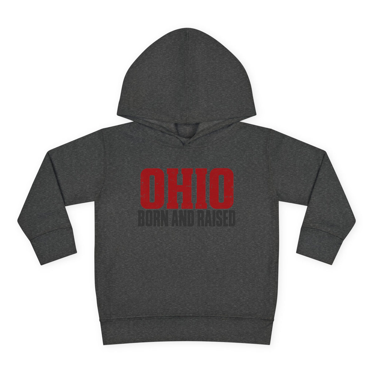 Ohio Born and Raised Minimal Heritage Unisex Toddler Pullover Fleece Hoodie