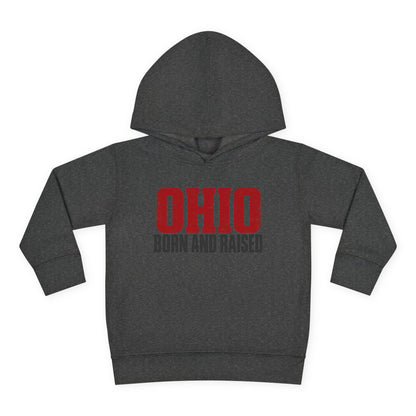 Ohio Born and Raised Minimal Heritage Unisex Toddler Pullover Fleece Hoodie