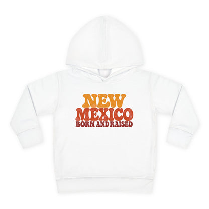 New Mexico Born and Raised 1970s Retro Unisex Toddler Pullover Fleece Hoodie