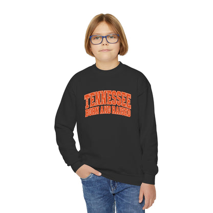 Tennessee Born and Raised Southern Collegiate Unisex Youth Crewneck Sweatshirt Graphic