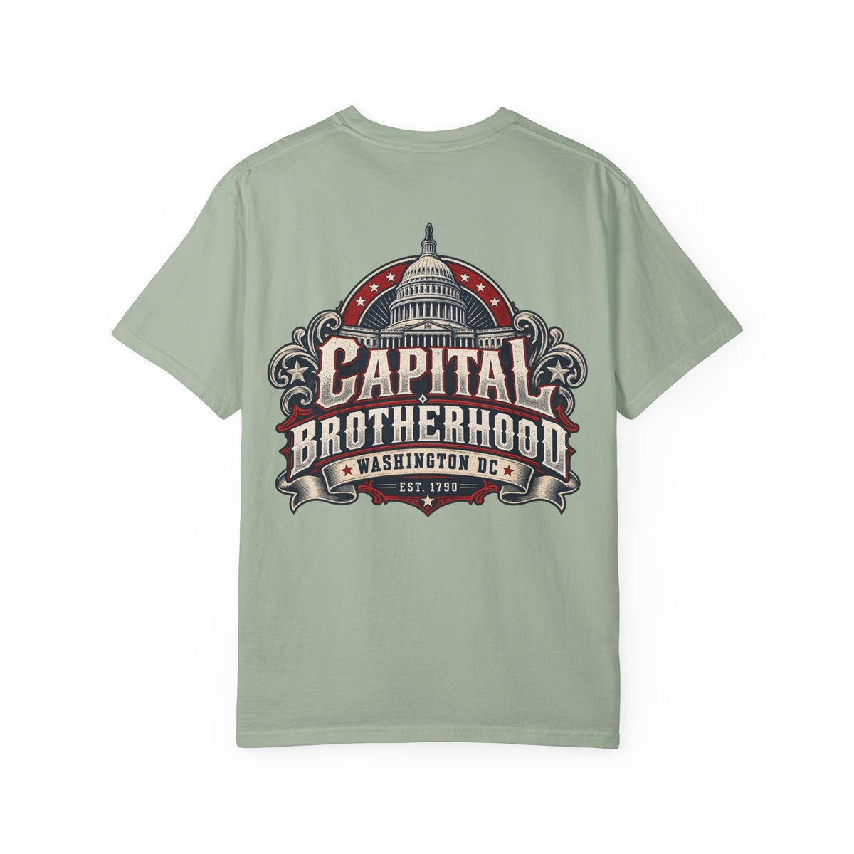 Washington DC Capital Brotherhood Unisex Comfort Color 1717 Streetwear Graphic Tee