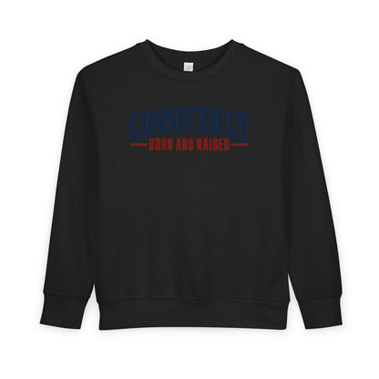 Connecticut Born and Raised Classic New England Unisex Toddler Sweatshirt