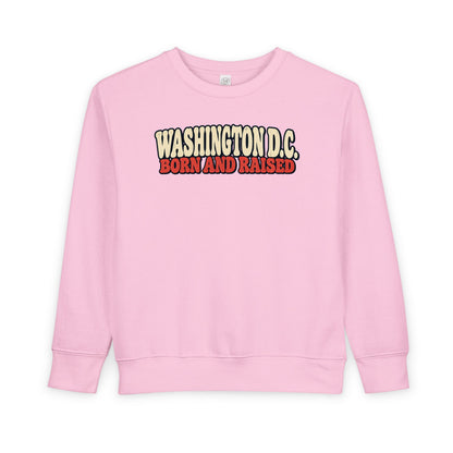 Washington DC Born and Raised Retro 1970s Unisex Toddler Sweatshirt