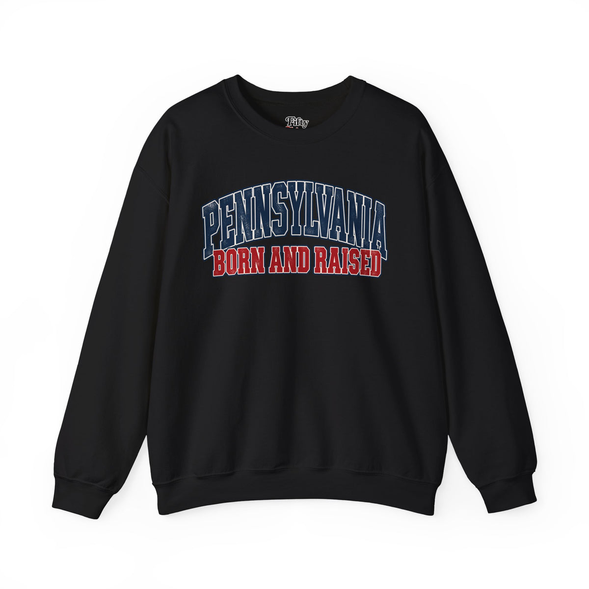 Pennsylvania Born and Raised Vintage Collegiate Unisex Sweatshirt Graphic