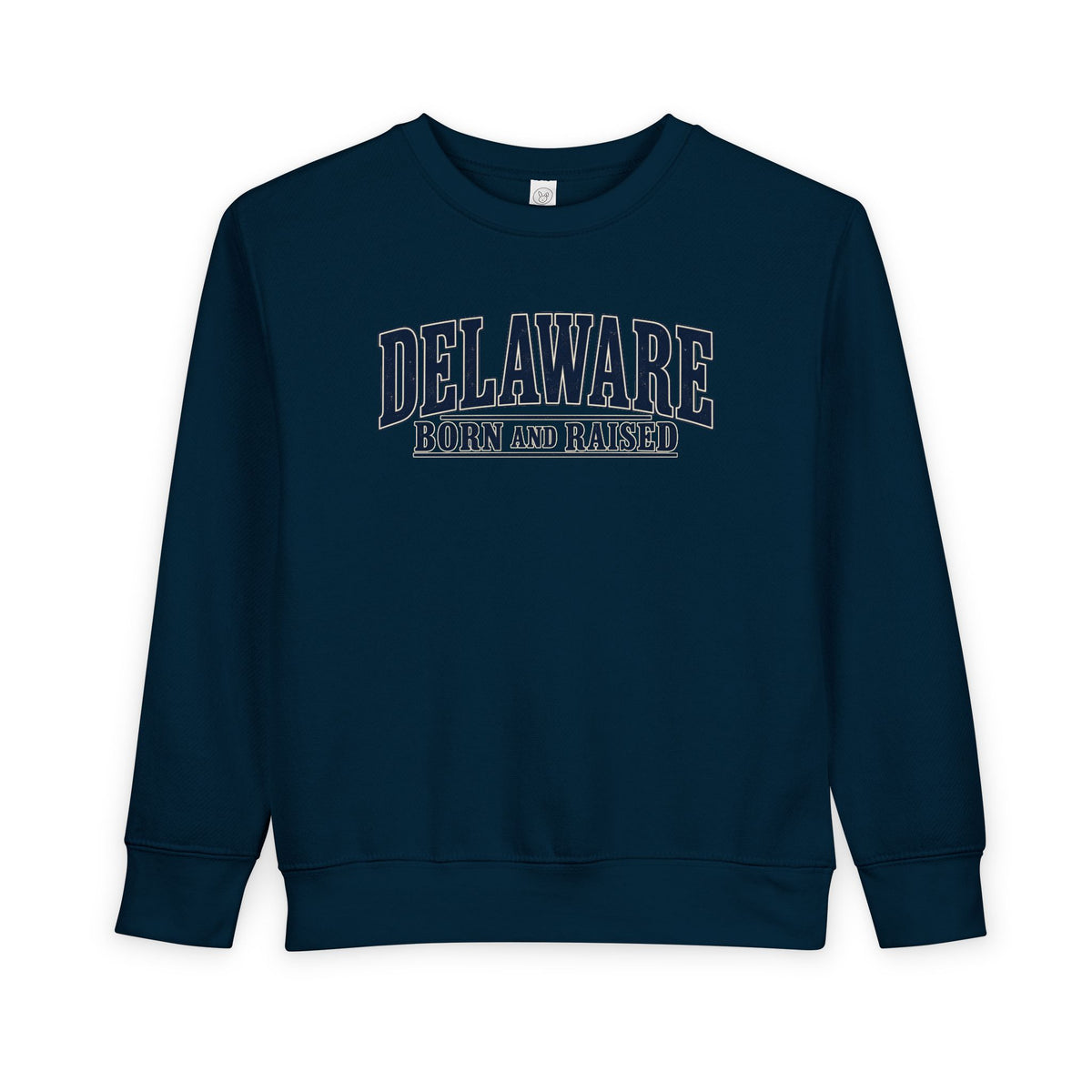 Delaware Born and Raised Luxury Vintage Unisex Toddler Sweatshirt