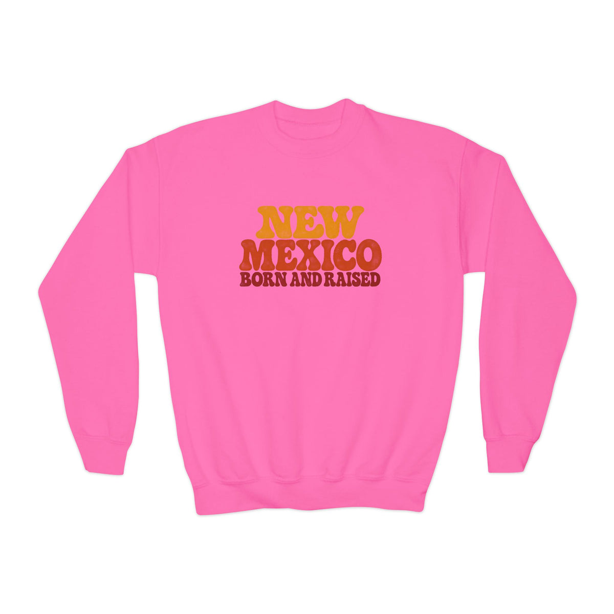 New Mexico Born and Raised 1970s Retro Unisex Youth Crewneck Sweatshirt Graphic