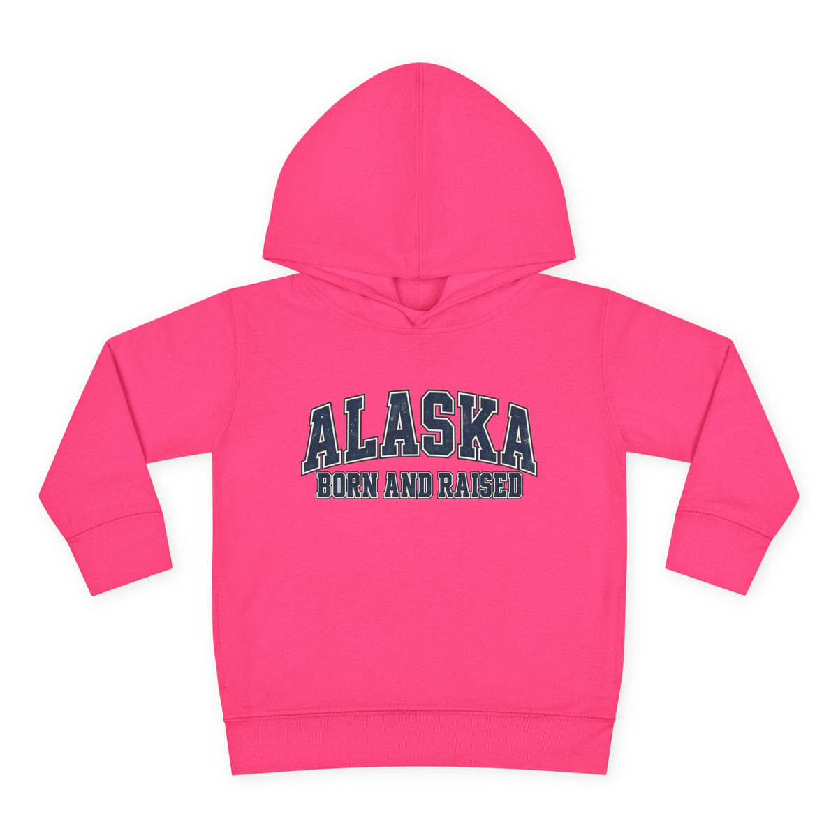 Alaska Born and Raised Classic Collegiate Unisex Toddler Pullover Fleece Hoodie