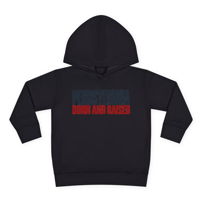 Pennsylvania Born and Raised Northeast Streetwear Unisex Toddler Pullover Fleece Hoodie