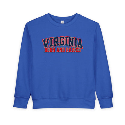 Virginia Born and Raised Classic Collegiate Unisex Toddler Sweatshirt