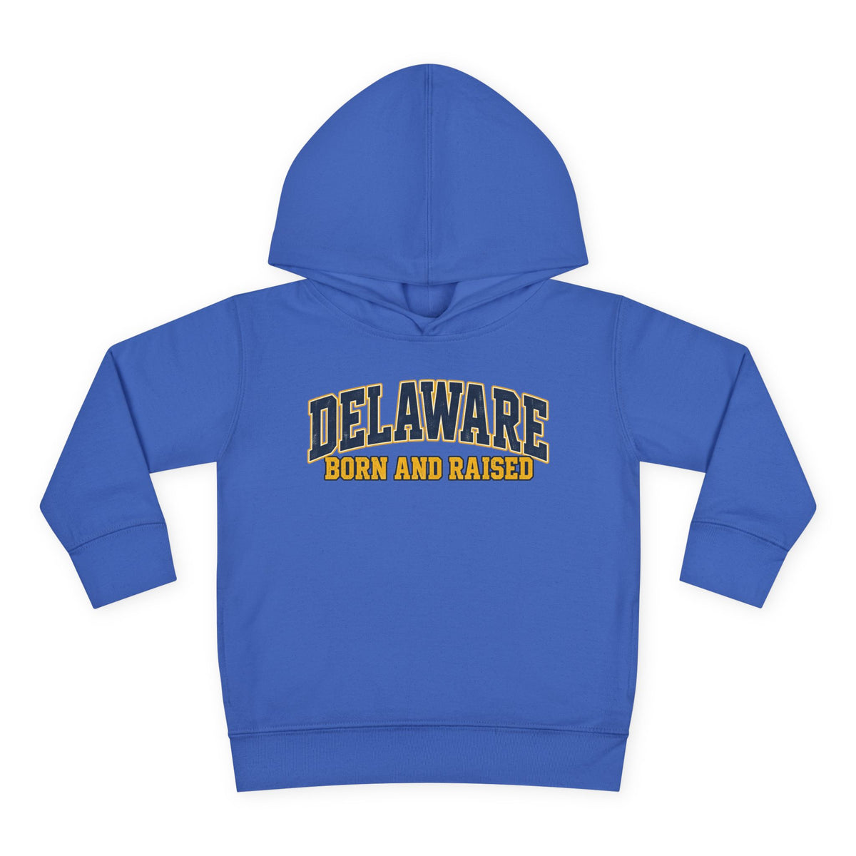 Delaware Born and Raised Old-School Athletic Unisex Toddler Pullover Fleece Hoodie