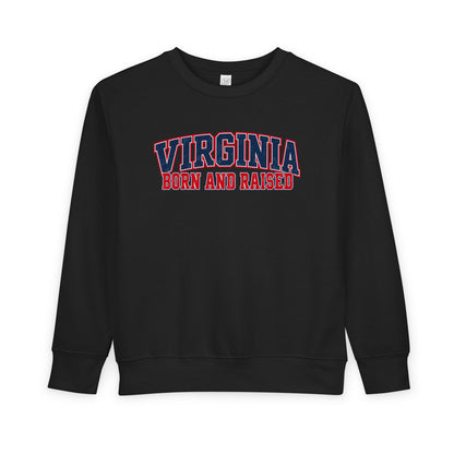 Virginia Born and Raised Classic Collegiate Unisex Toddler Sweatshirt