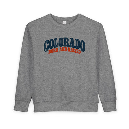 Colorado Born and Raised Retro 1970s Unisex Toddler Sweatshirt