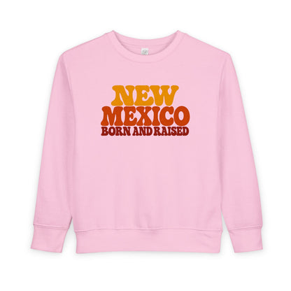 New Mexico Born and Raised 1970s Retro Unisex Toddler Sweatshirt