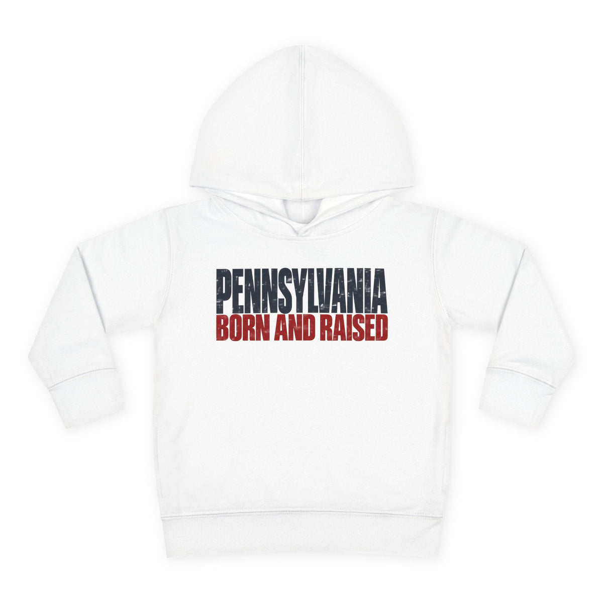 Pennsylvania Born and Raised Northeast Streetwear Unisex Toddler Pullover Fleece Hoodie
