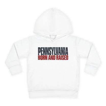 Pennsylvania Born and Raised Northeast Streetwear Unisex Toddler Pullover Fleece Hoodie