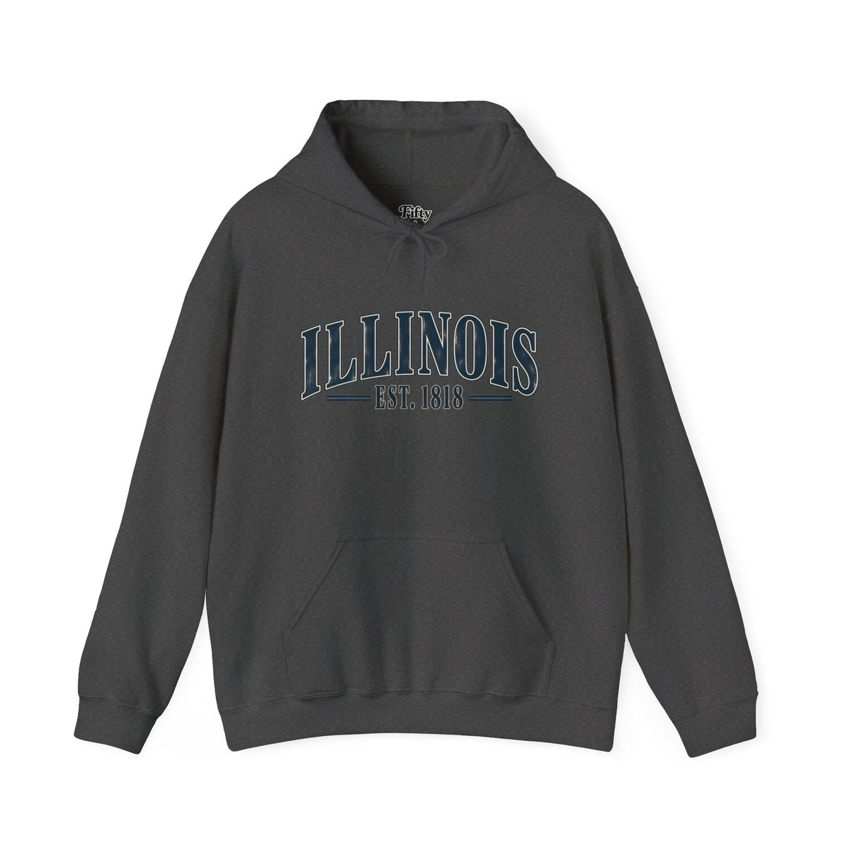 Illinois Est 1818 Unisex Hoodie State Name Graphic